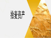 拾麦.jpg